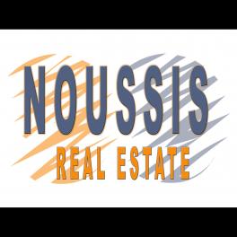 realestate-agent